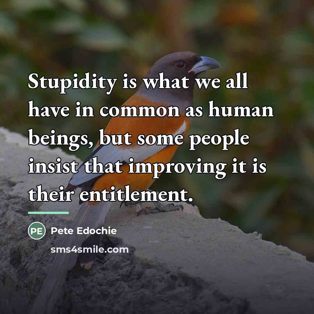 “Stupidity is what we all have in common as human…” quote by Pete Edochie