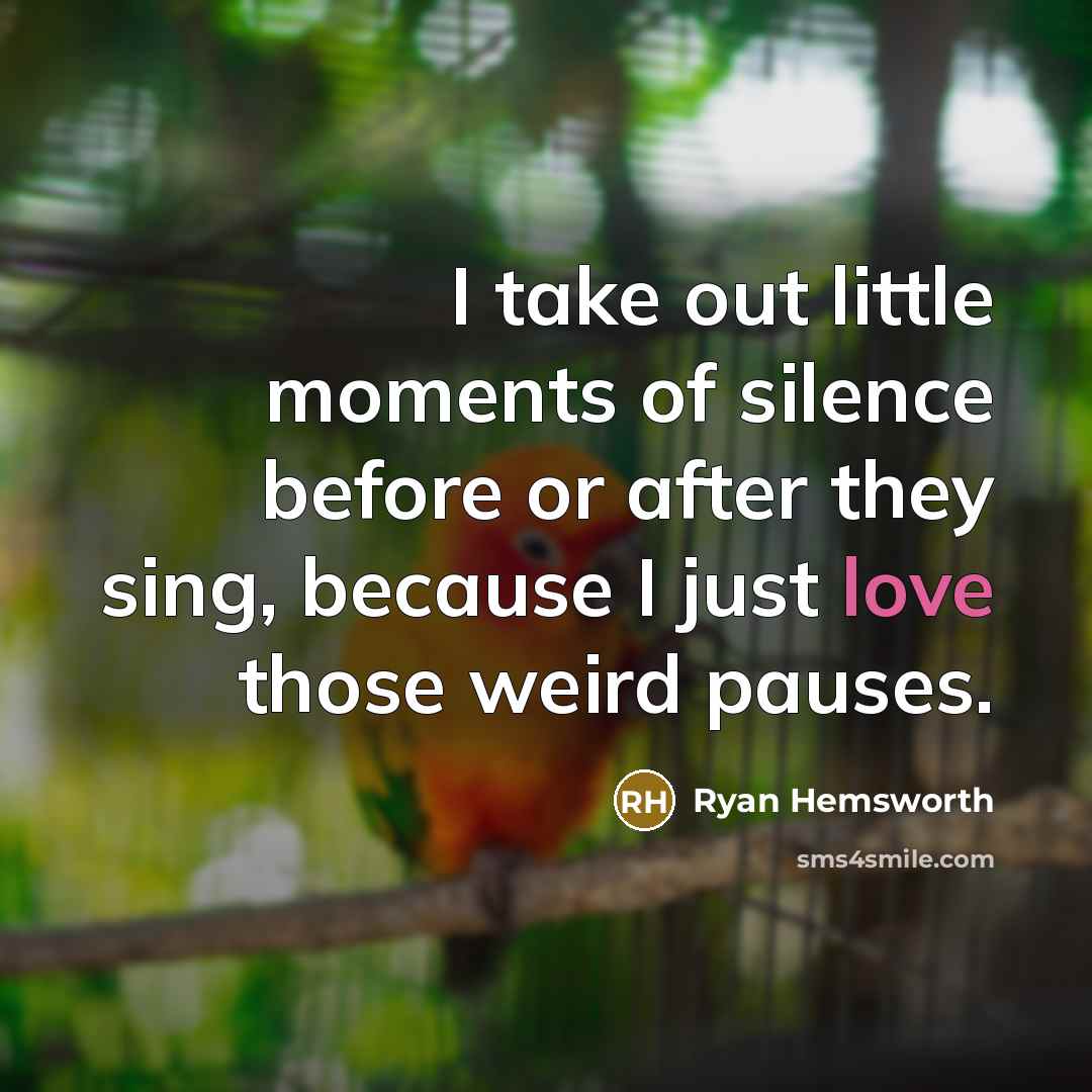 “I take out little moments of silence before or after…” quote by Ryan Hemsworth