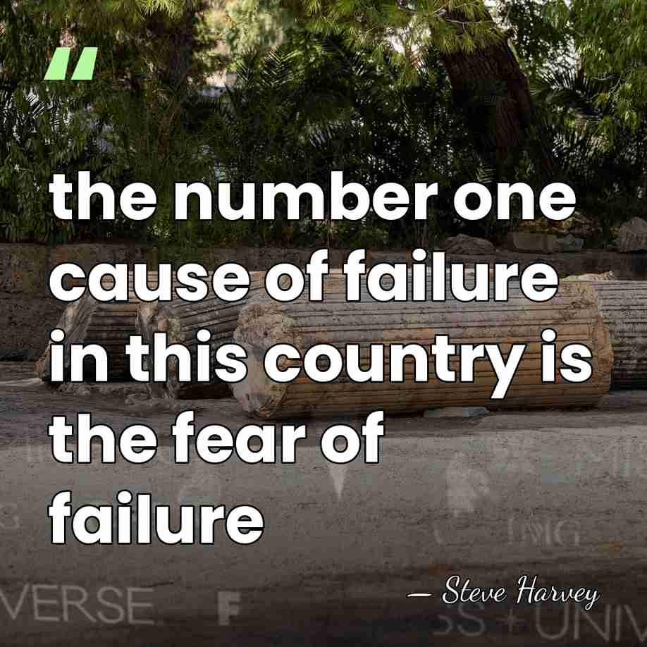the number one cause of failure in this country is the fear&hellip; - Steve Harvey