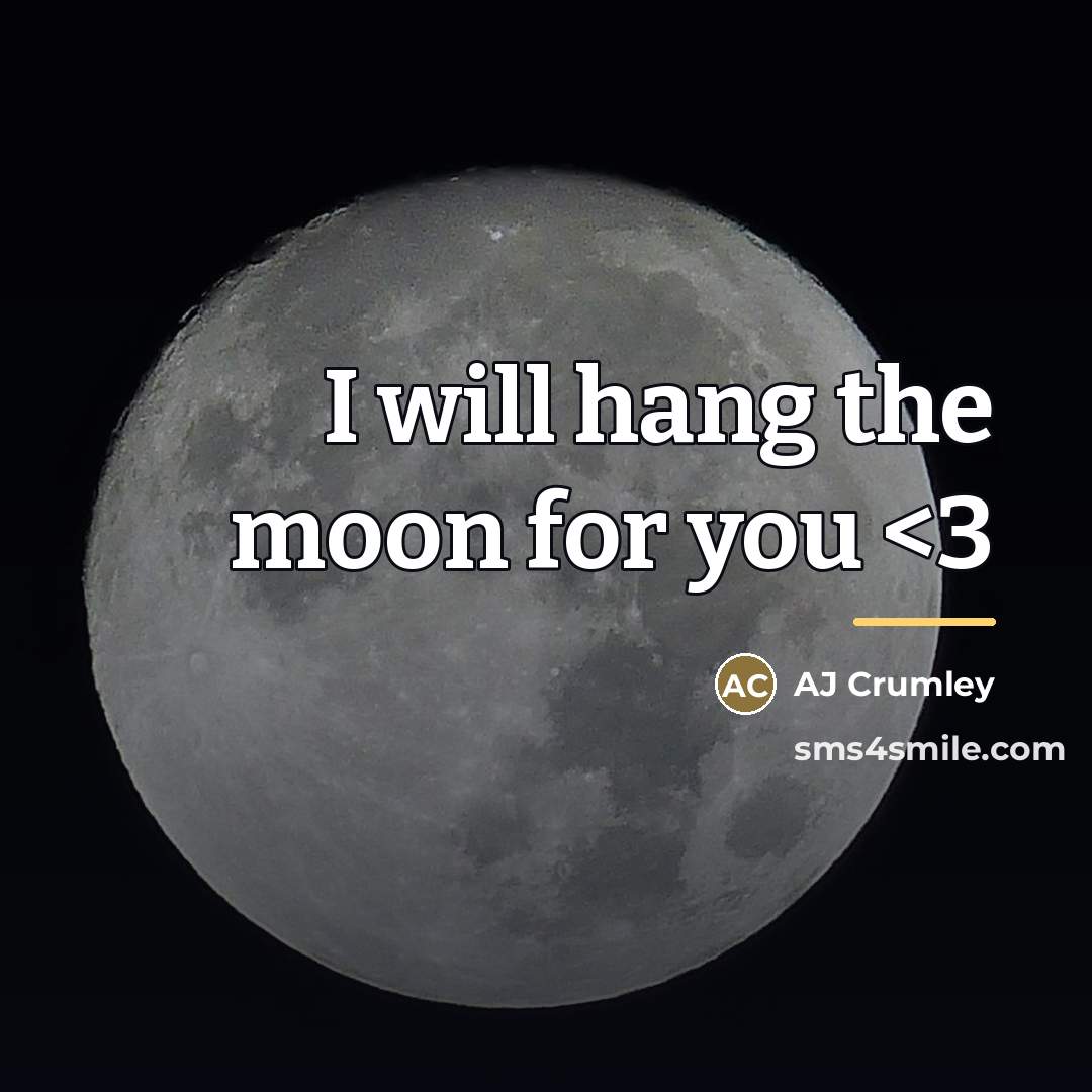 “I will hang the moon for you…” quote by Anonymous