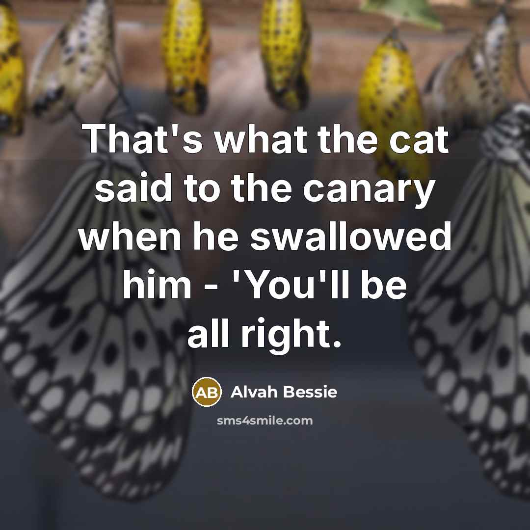 “That's what the cat said to the canary when he…” quote by Alvah Bessie
