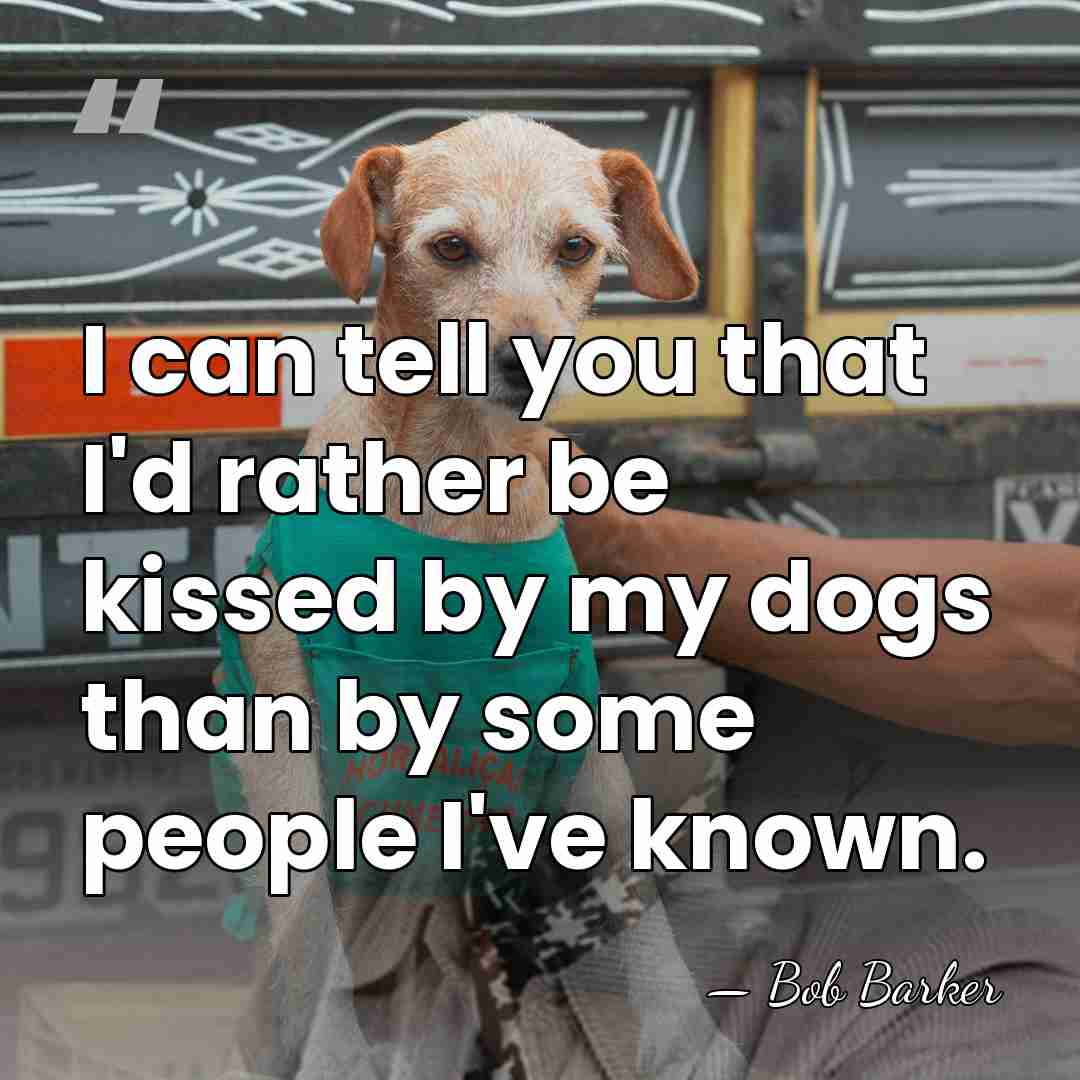 I can tell you that I'd rather be kissed by my dogs&hellip; - Bob Barker