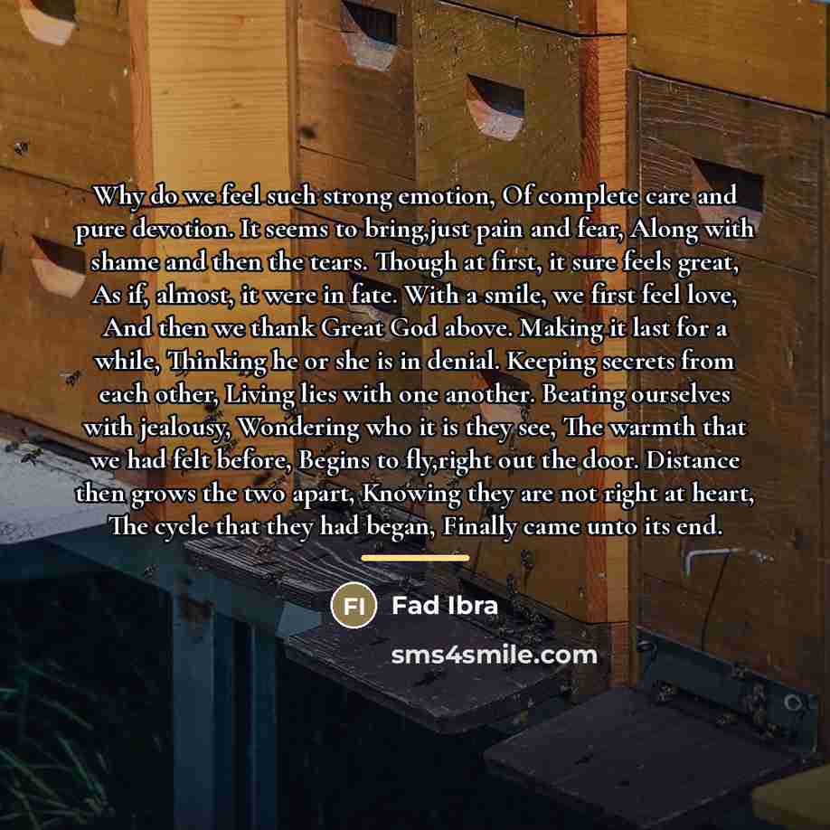 “Why do we feel such strong emotion, Of complete care…” quote by Fad Ibra