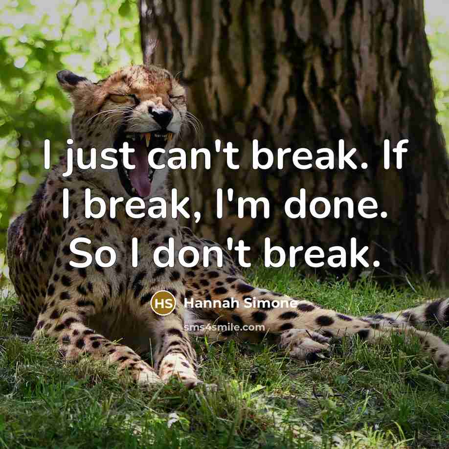 “I just can't break. If I break, I'm done. So…” quote by Hannah Simone