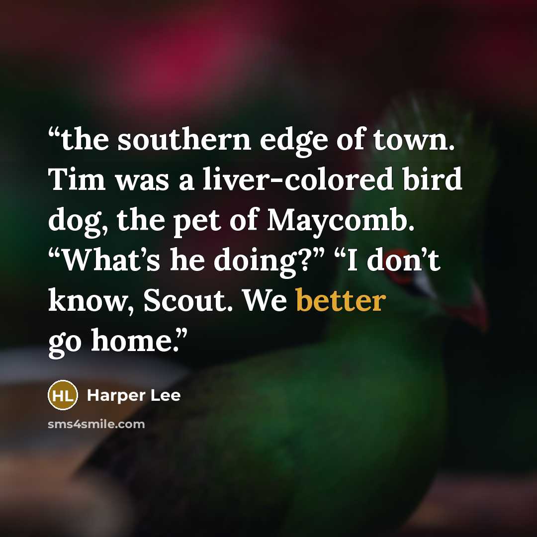 “the southern edge of town. Tim was a liver-colored bird dog, the pet of Maycomb. “What’s he doing?” “I don’t know, Scout. We better go home.” quote by Harper Lee