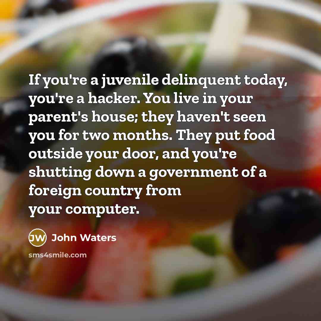 “If you're a juvenile delinquent today, you're a hacker. You…” quote by John Waters