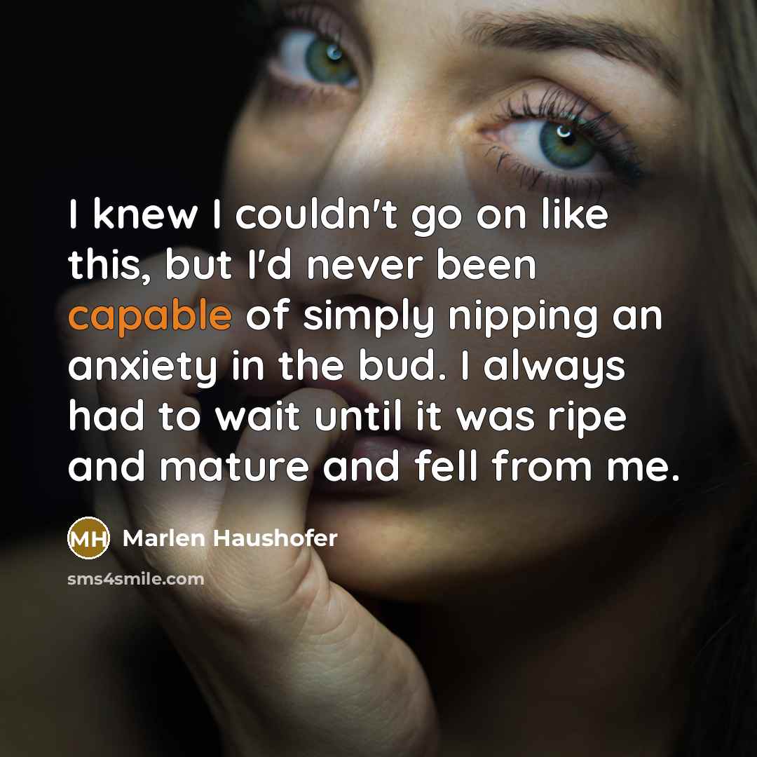 “I knew I couldn't go on like this, but I'd…” quote by Marlen Haushofer