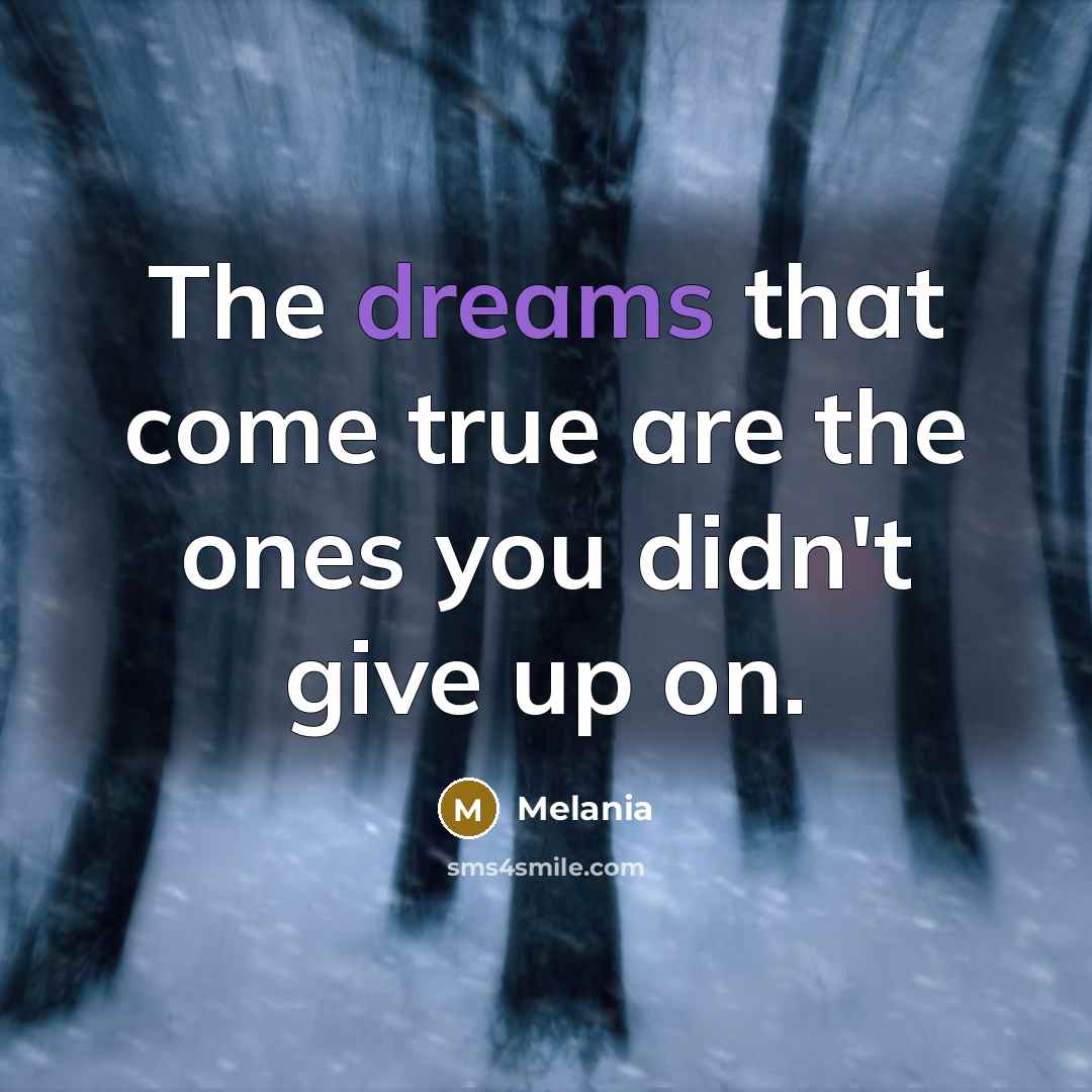“The dreams that come true are the ones you didn't…” quote by Melania