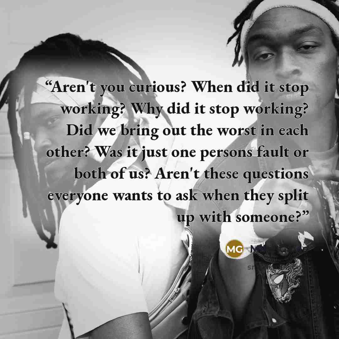 “Aren't you curious? When did it stop working? Why did it stop working? Did we bring out the worst in each other? Was it just one persons fault or both of us? Aren't these questions everyone wants to ask when they split up with someone?” quote by Mike Gayle