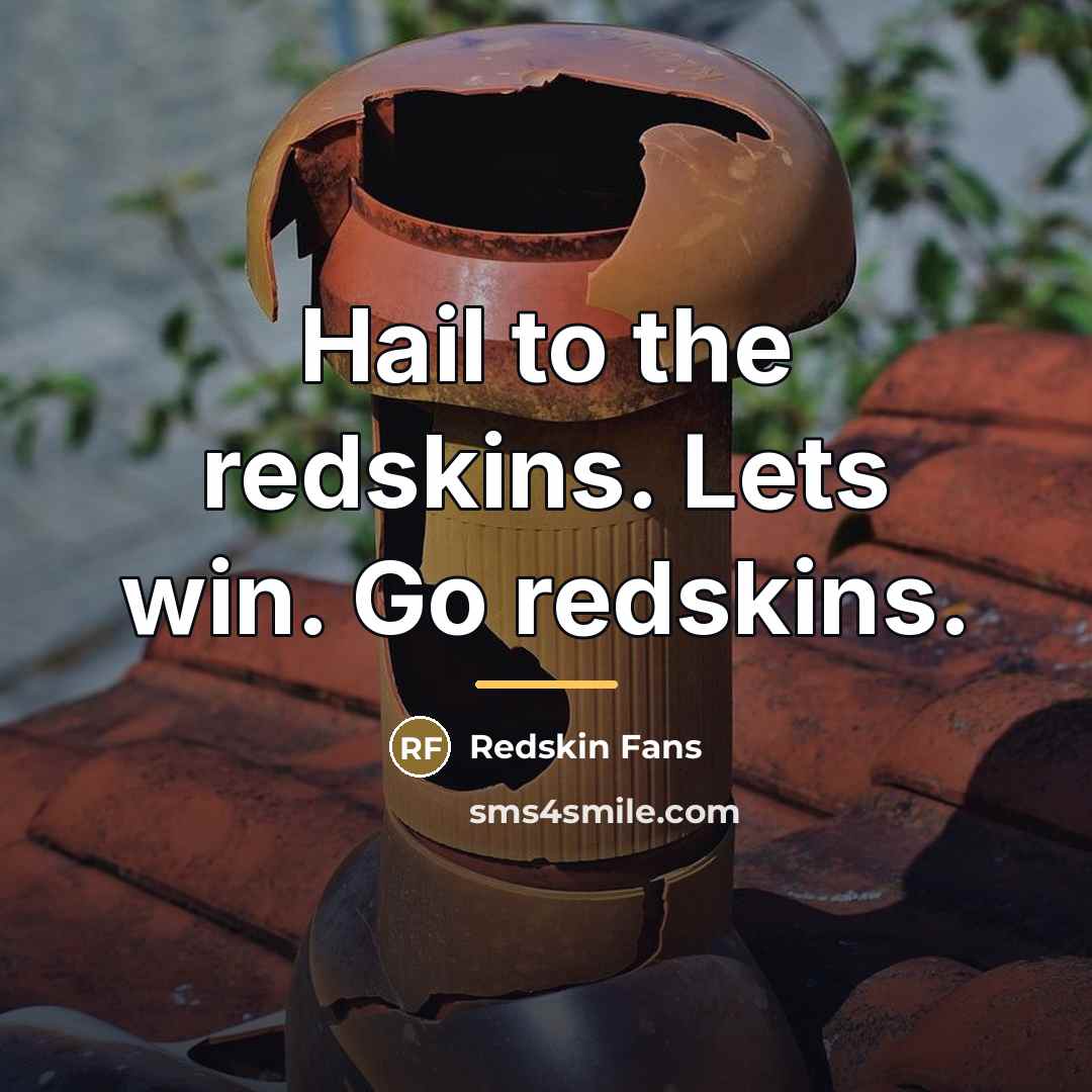 “Hail to the redskins. Lets win. Go redskins.…” quote by Redskin Fans