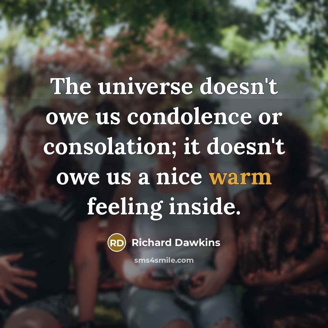 “The universe doesn't owe us condolence or consolation; it doesn't…” quote by Richard Dawkins