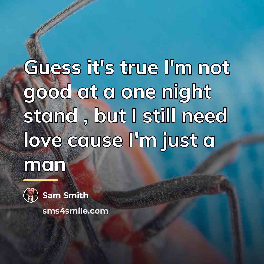 “Guess it's true I'm not good at a one night…” quote by Sam Smith