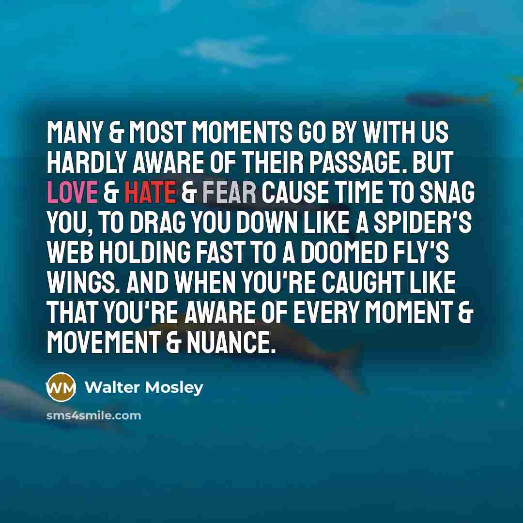 “Many & most moments go by with us hardly aware…” quote by Walter Mosley