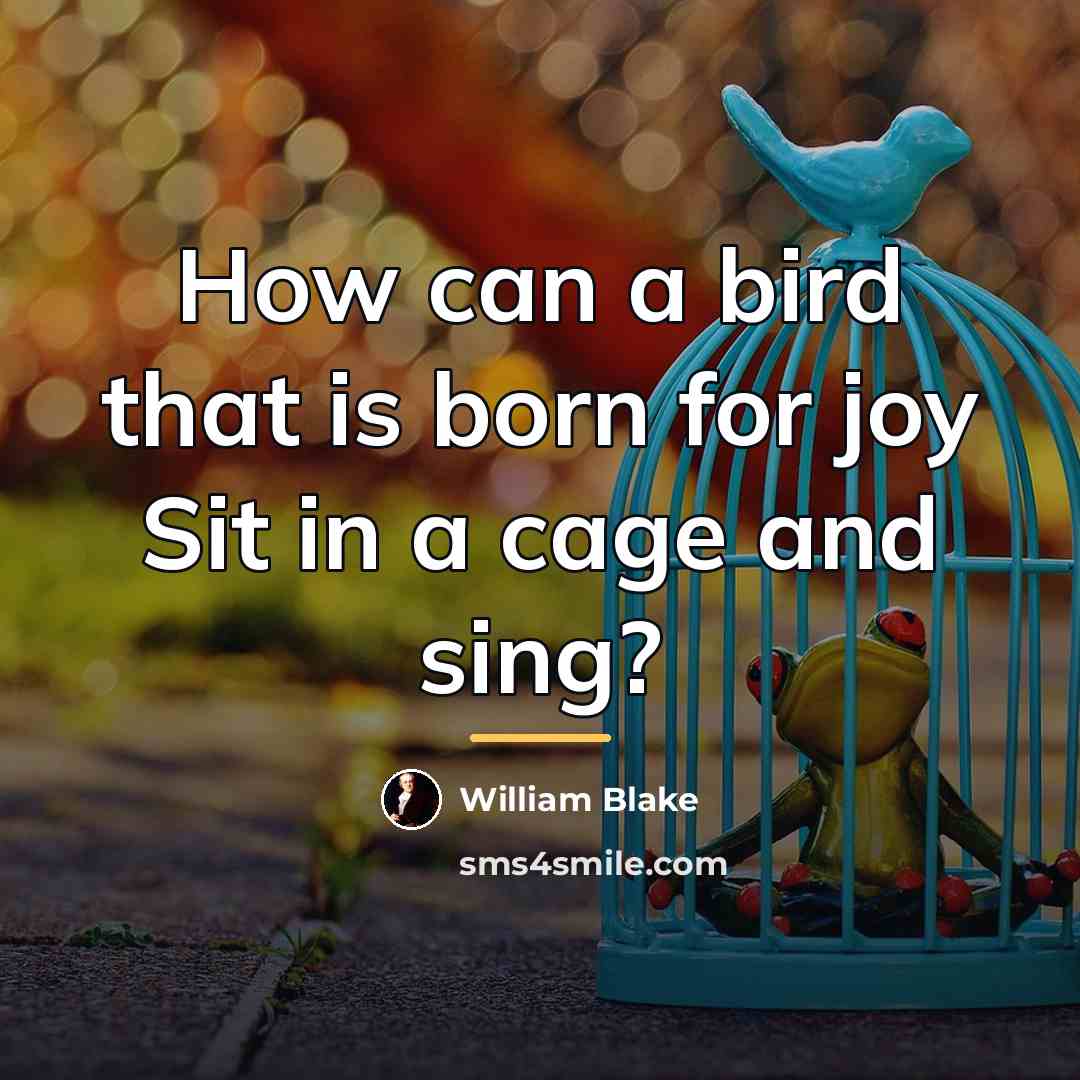 “How can a bird that is born for joy Sit…” quote by William Blake