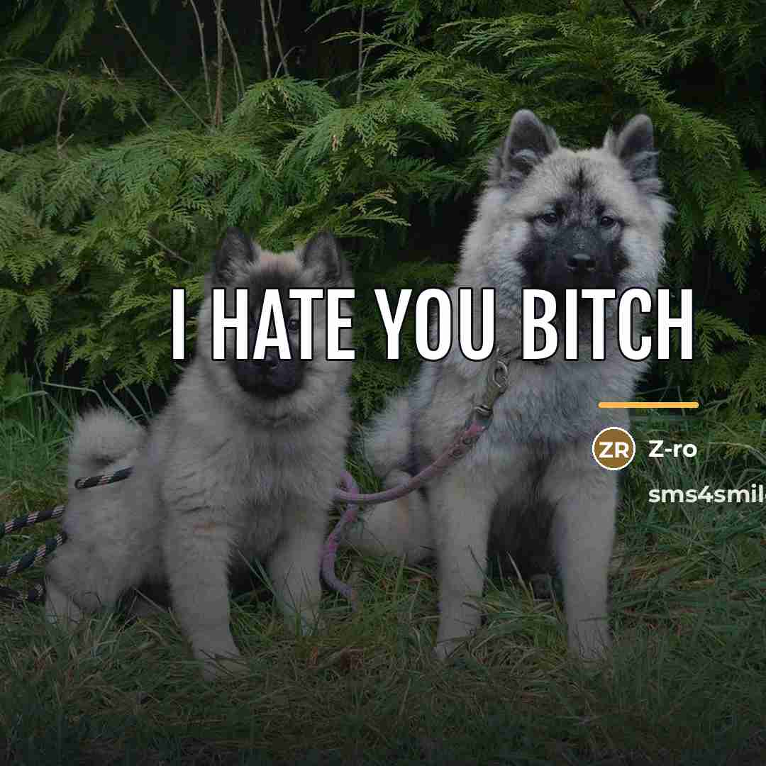 “I hate you bitch…” quote by Z-ro