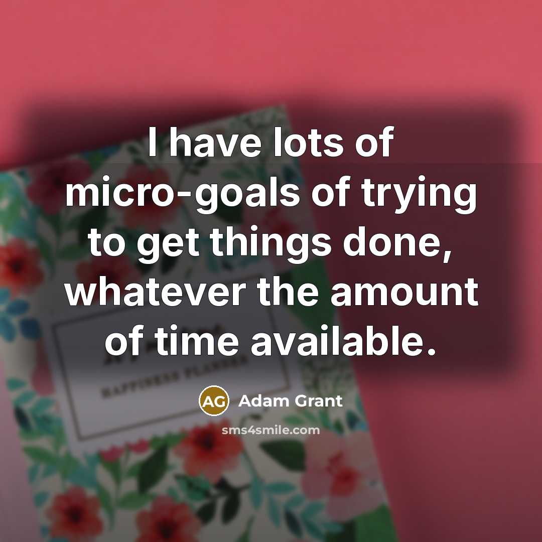 “I have lots of micro-goals of trying to get things…” quote by Adam Grant