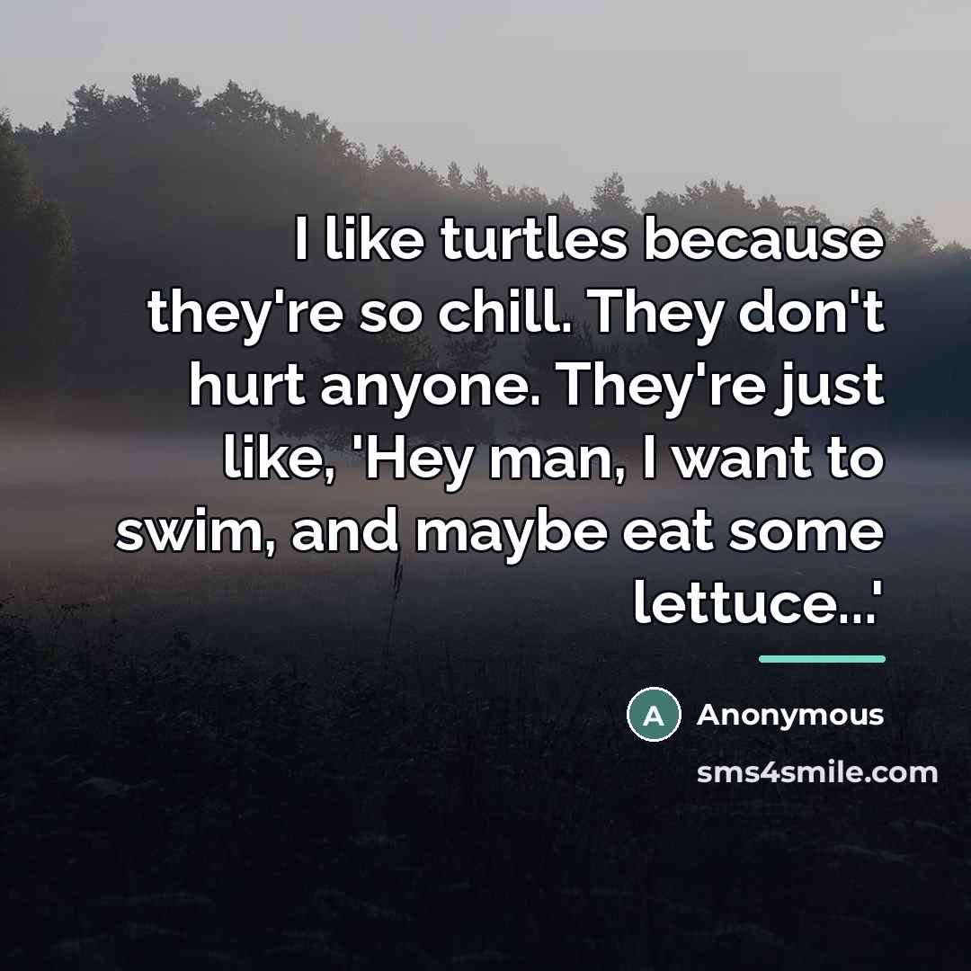 “I like turtles because they're so chill. They don't hurt…” quote by Anonymous