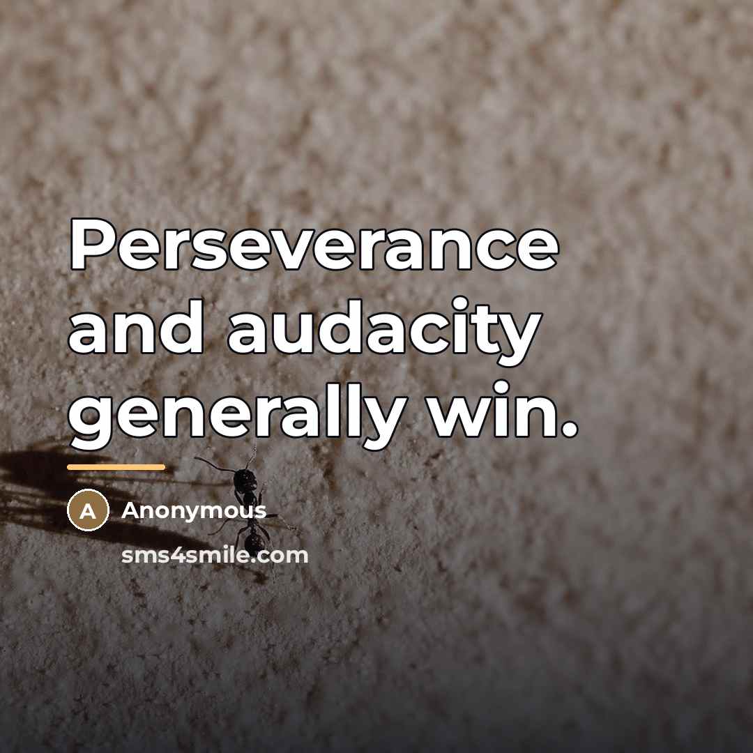 “Perseverance and audacity generally win.…” quote by Dorothée Luzy
