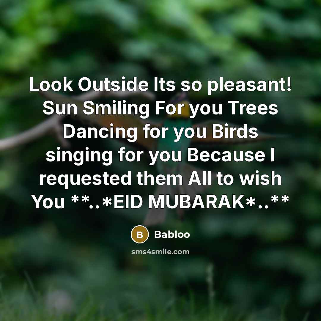 “Look Outside Its so pleasant! Sun Smiling For you Trees Dancing for you Birds singing for you Because I requested them All to wish You **..*EID MUBARAK*..**” quote by Babloo