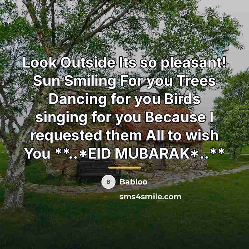 “Look Outside Its so pleasant! Sun Smiling For you Trees…” quote by Babloo