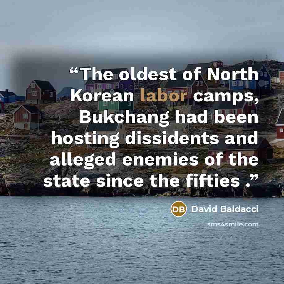 “The oldest of North Korean labor camps, Bukchang had been hosting dissidents and alleged enemies of the state since the fifties .” quote by David Baldacci