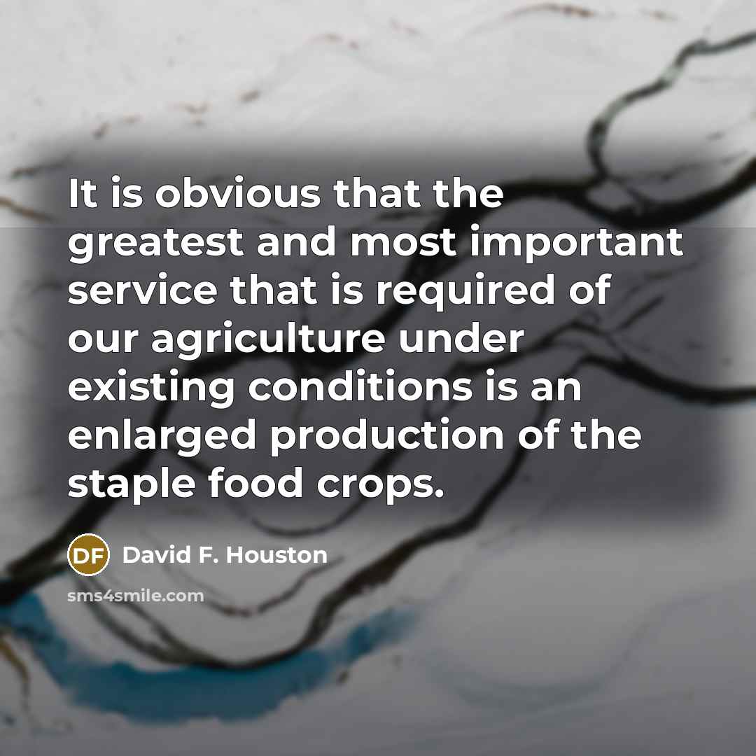 “It is obvious that the greatest and most important service…” quote by David F. Houston
