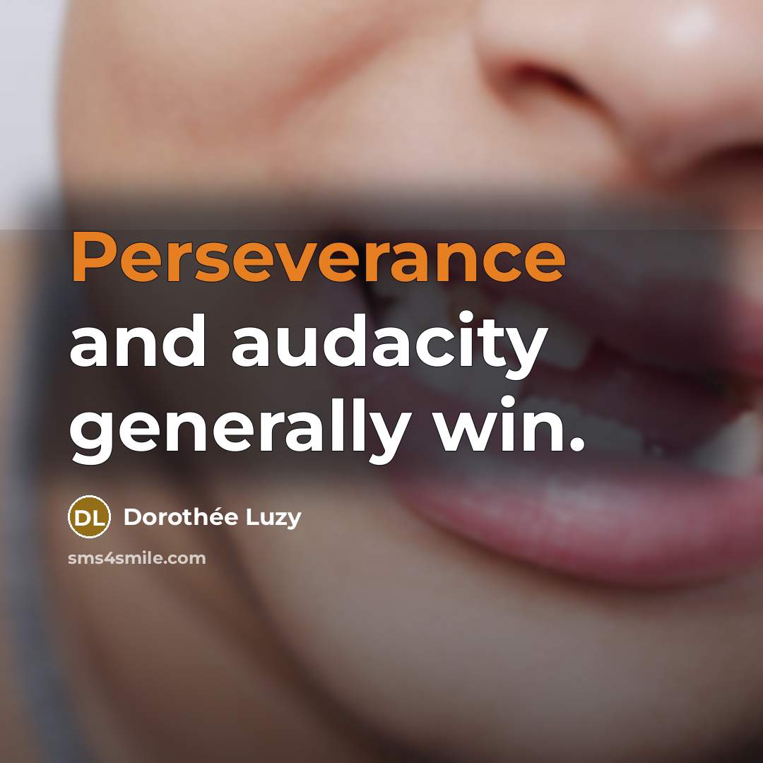“Perseverance and audacity generally win.” quote by Dorothée Luzy