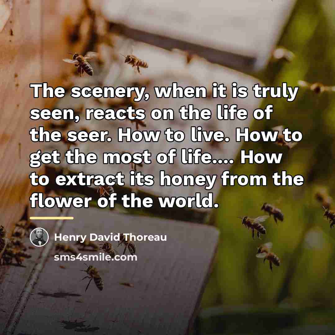 “The scenery, when it is truly seen, reacts on the…” quote by Henry David Thoreau
