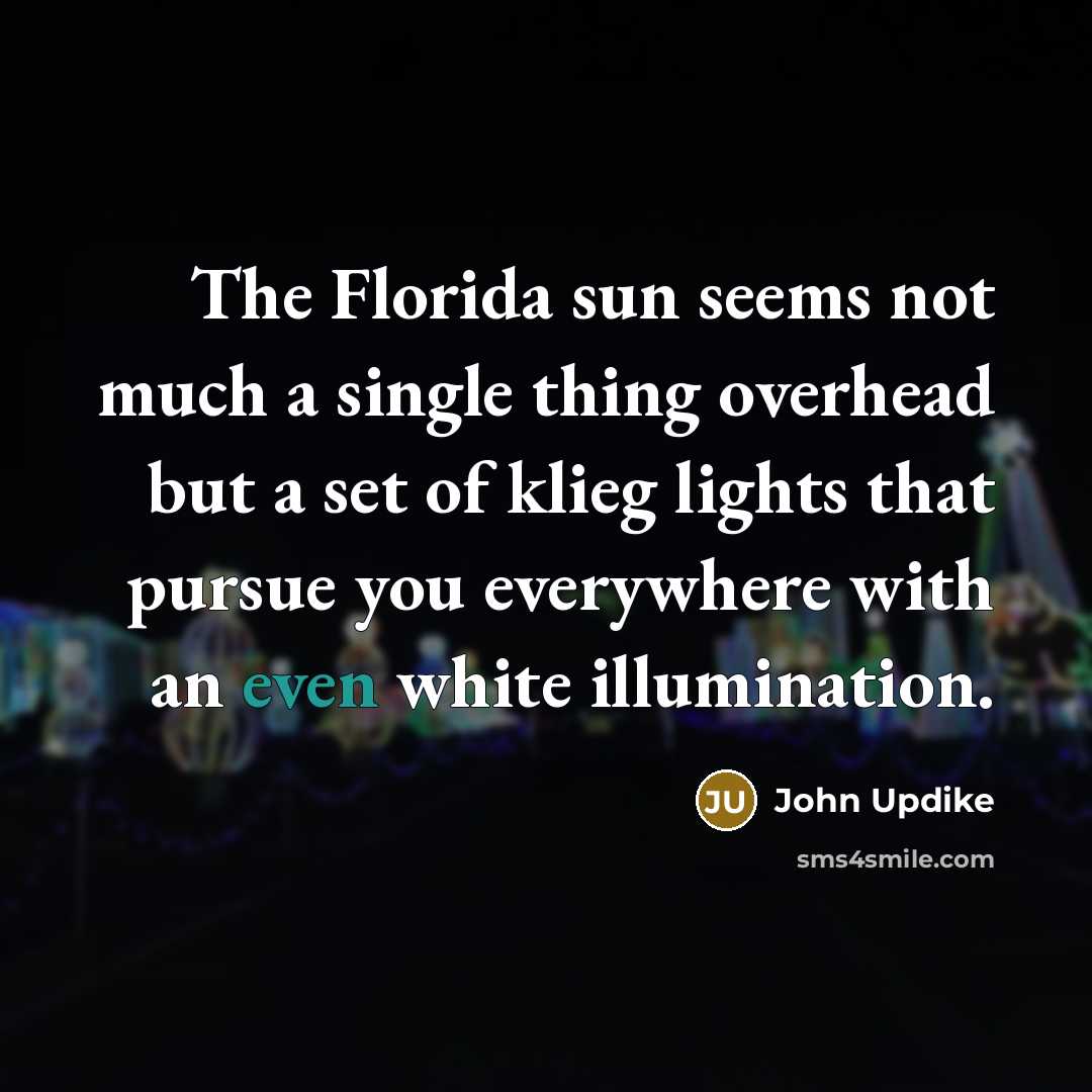 “The Florida sun seems not much a single thing overhead…” quote by John Updike