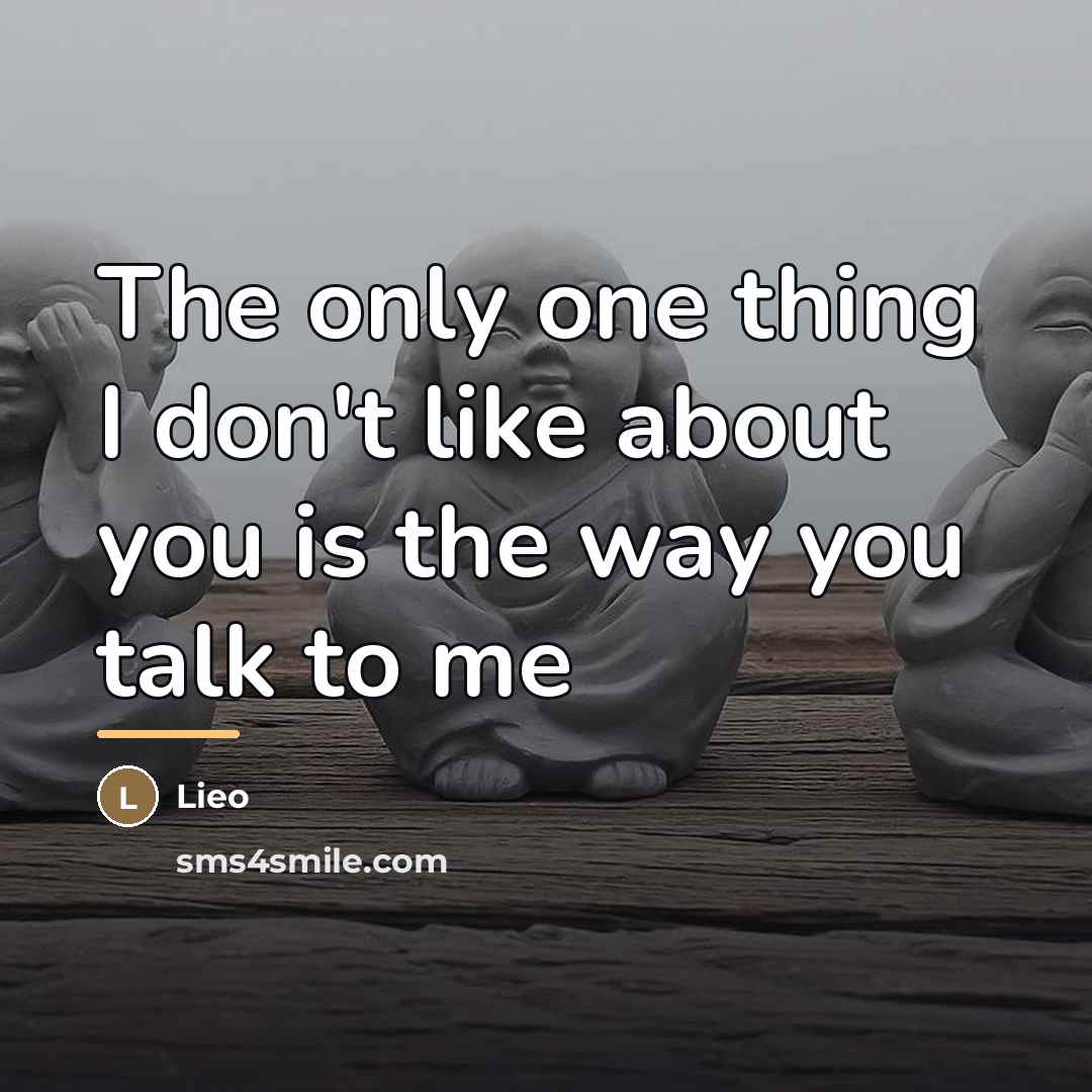 “The only one thing I don't like about you is…” quote by Lieo