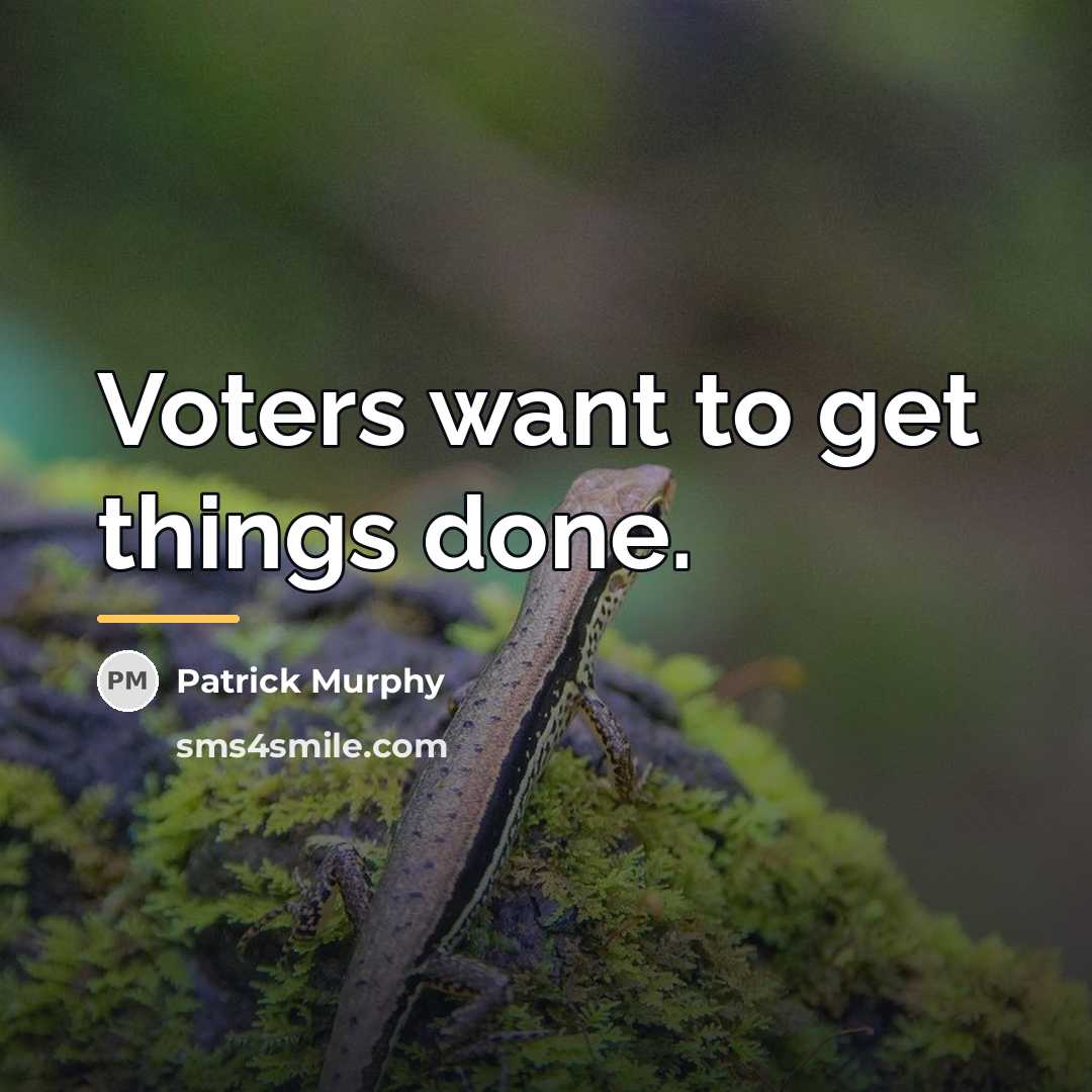 “Voters want to get things done.…” quote by Patrick Murphy