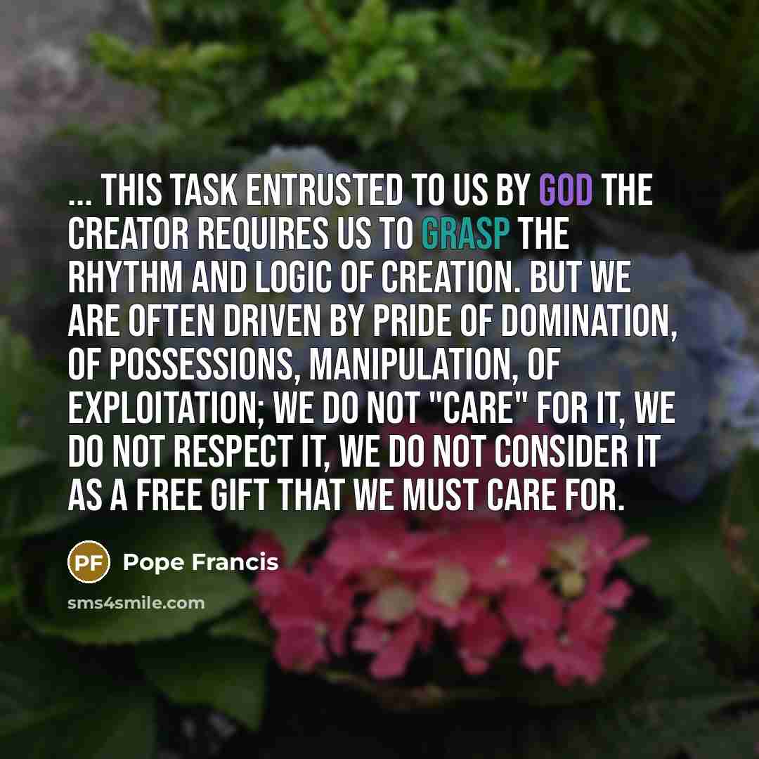 “... this task entrusted to us by God the Creator…” quote by Pope Francis