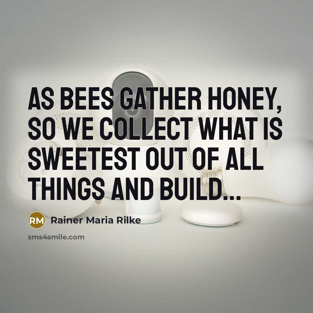 “As bees gather honey, so we collect what is sweetest…” quote by Rainer Maria Rilke