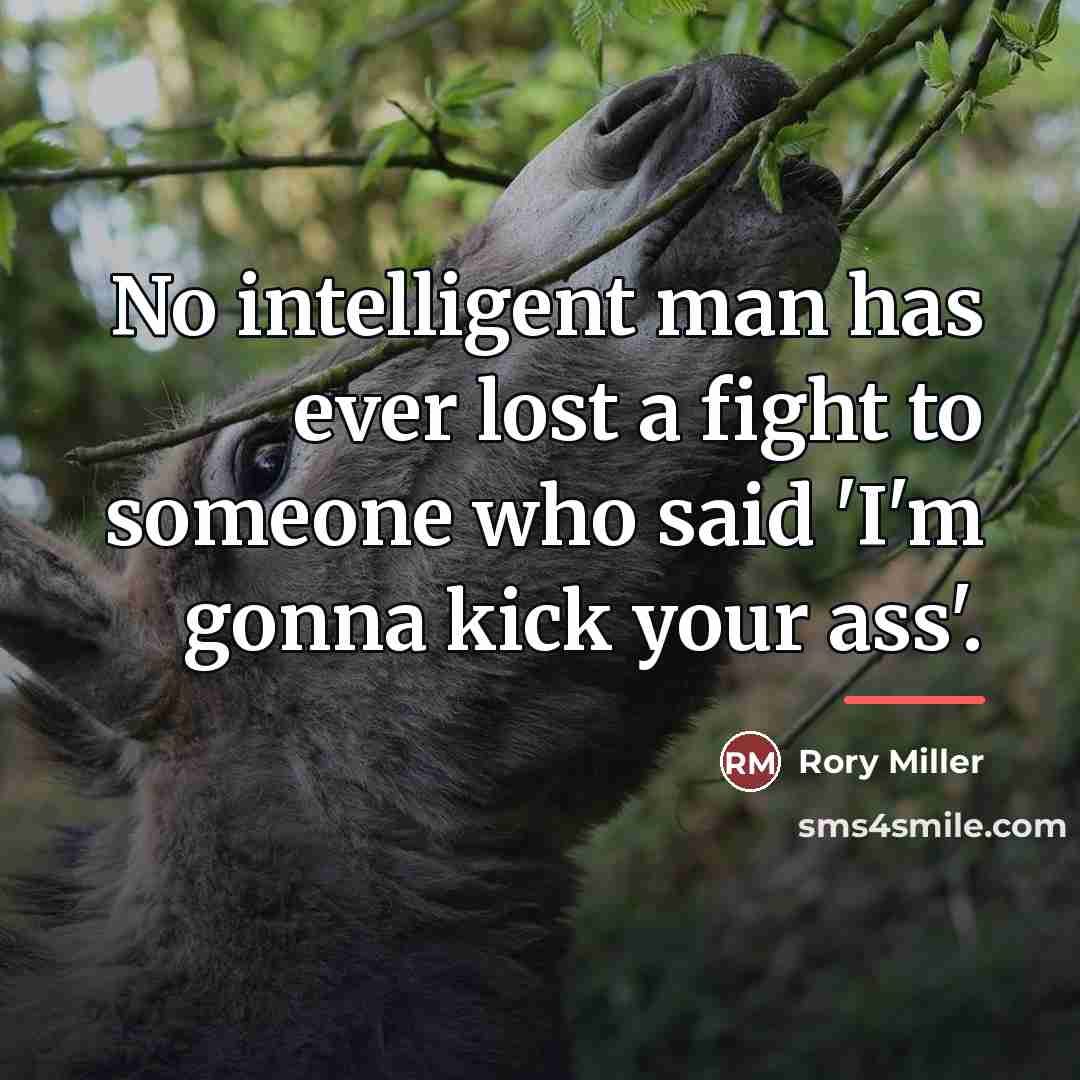 “No intelligent man has ever lost a fight to someone…” quote by Rory Miller