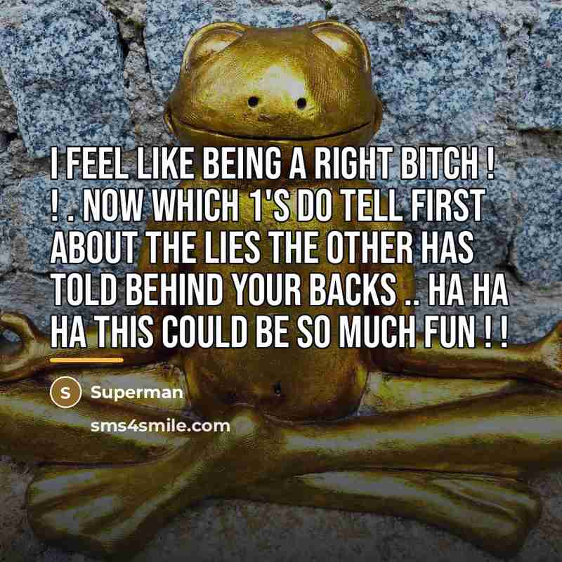 “I feel like being a right BITCH ! ! .…” quote by Superman