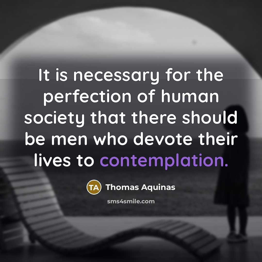 “It is necessary for the perfection of human society that…” quote by Thomas Aquinas