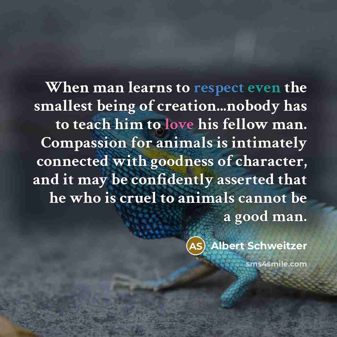“When man learns to respect even the smallest being of…” quote by Albert Schweitzer