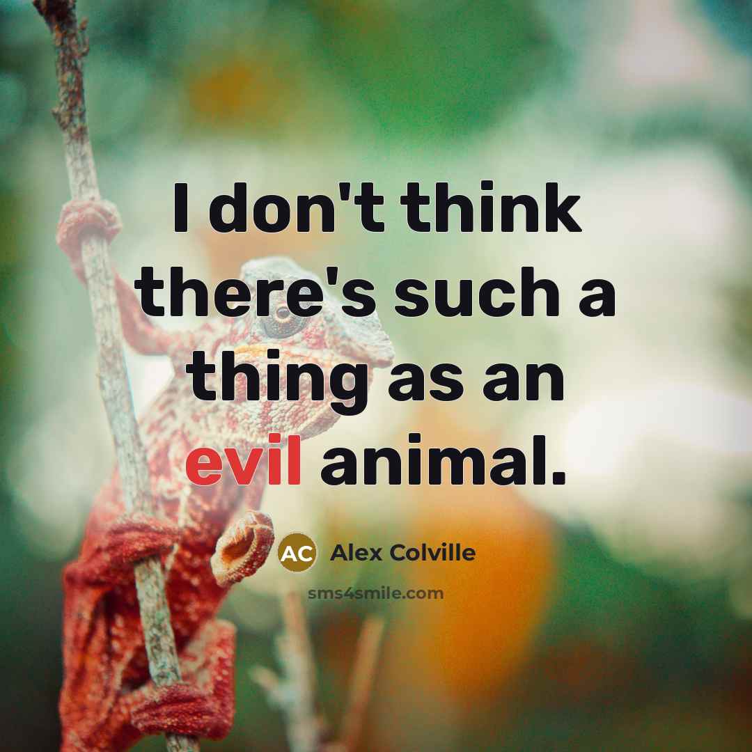 “I don't think there's such a thing as an evil…” quote by Alex Colville