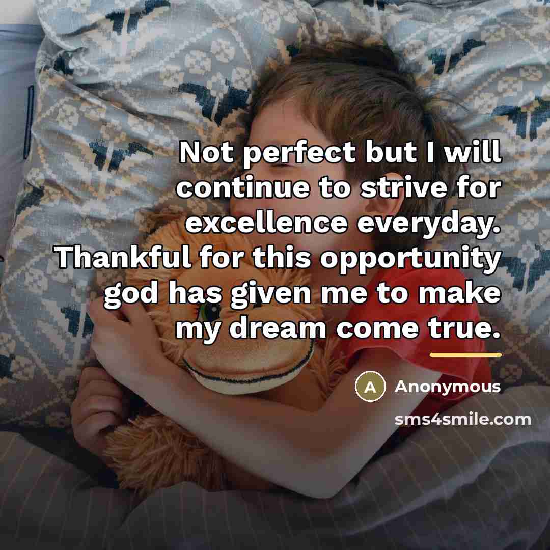 “Not perfect but I will continue to strive for excellence…” quote by Anonymous