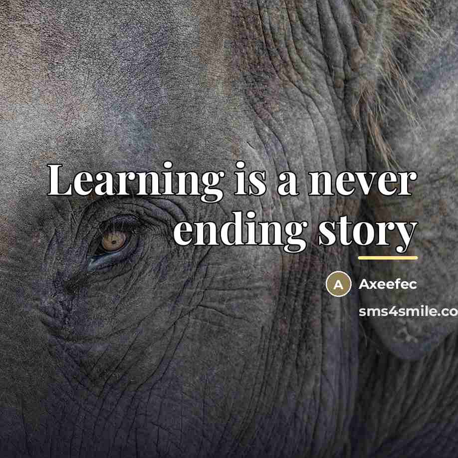 “Learning is a never ending story…” quote by Axeefec