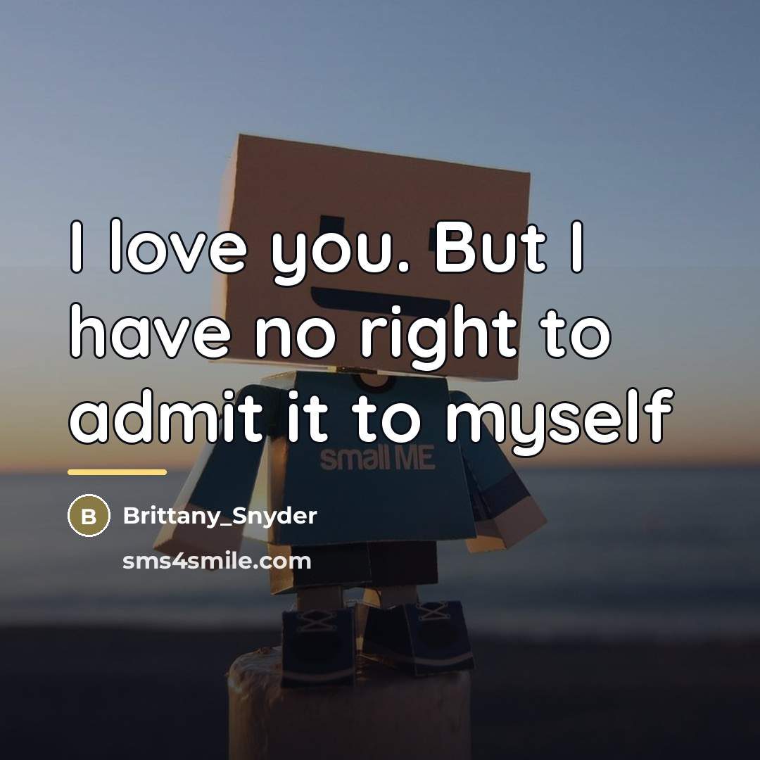 “I love you. But I have no right to admit…” quote by Brittany_Snyder
