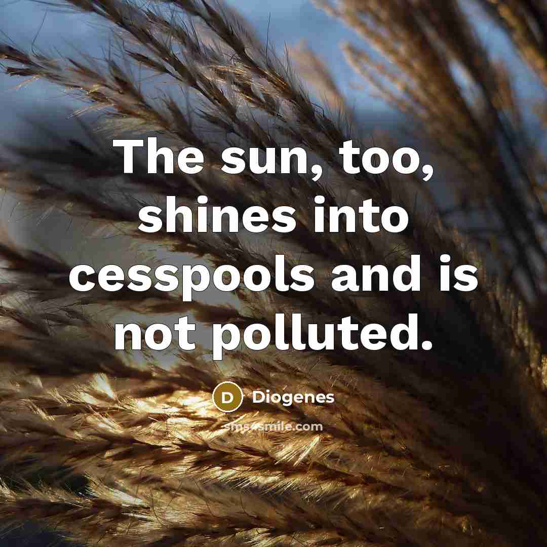 “The sun, too, shines into cesspools and is not polluted.…” quote by Diogenes
