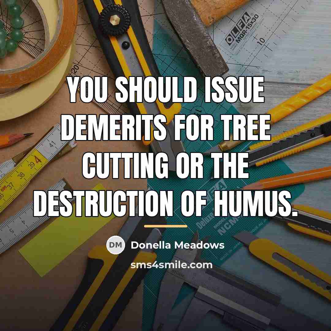 “You should issue demerits for tree cutting or the destruction…” quote by Donella Meadows