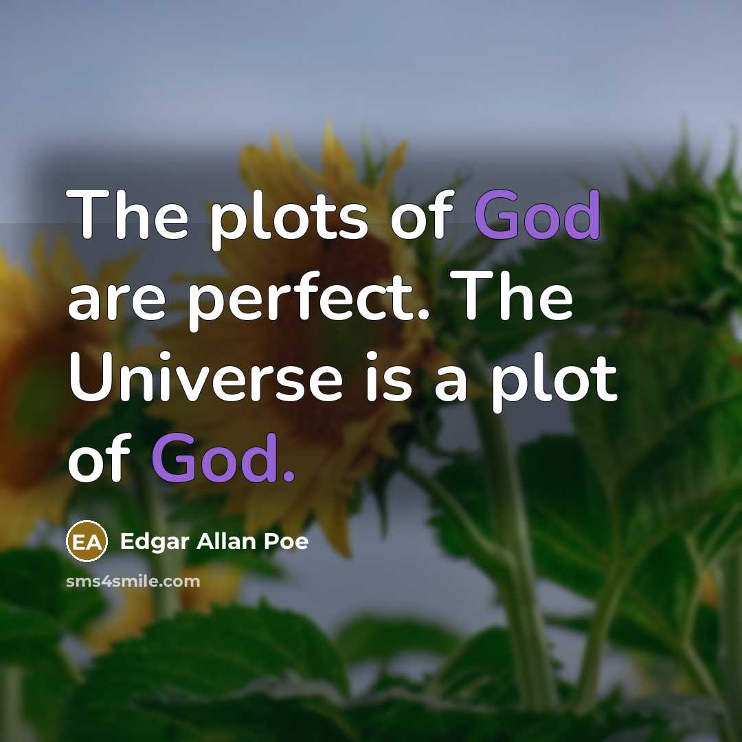 “The plots of God are perfect. The Universe is a…” quote by Edgar Allan Poe