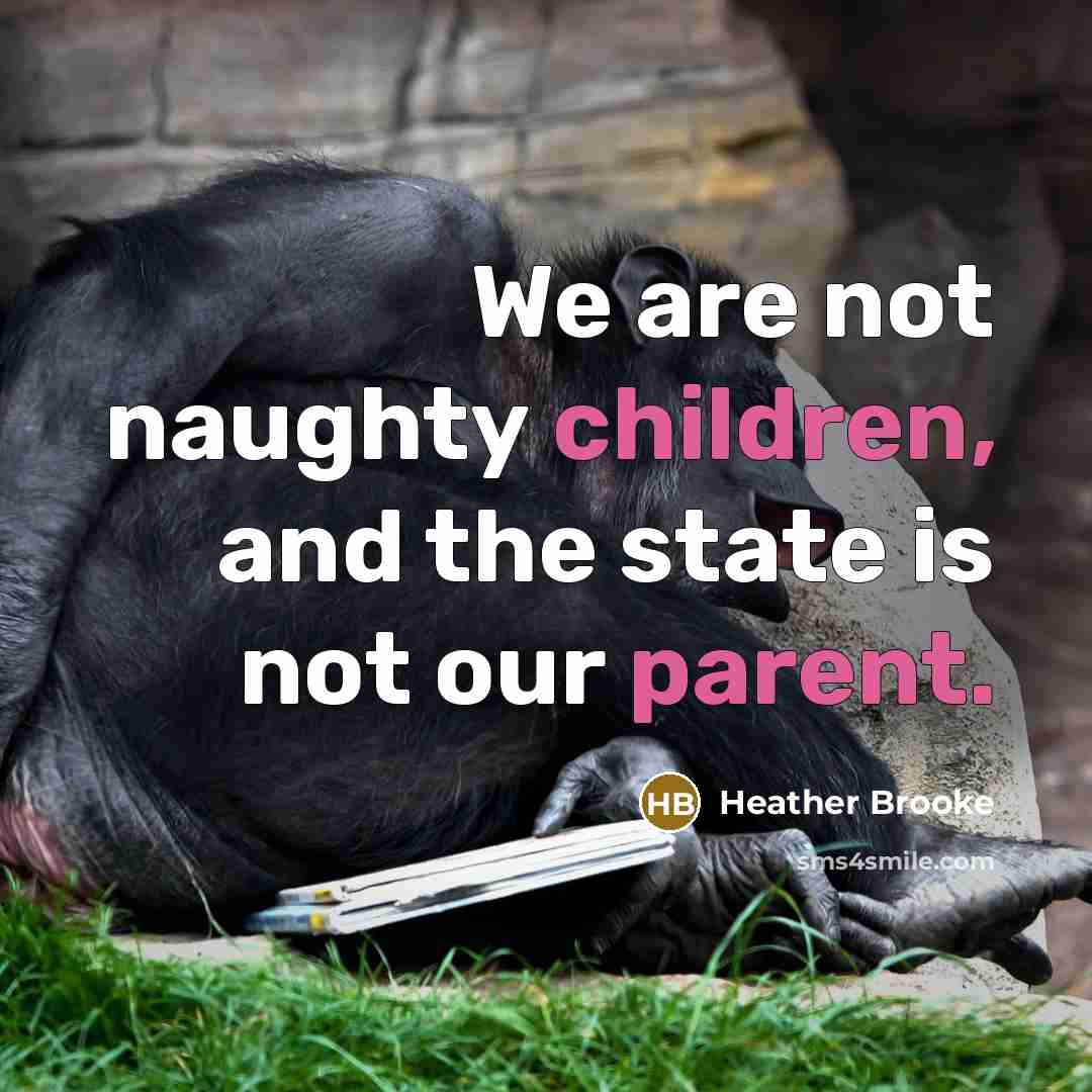 “We are not naughty children, and the state is not…” quote by Heather Brooke