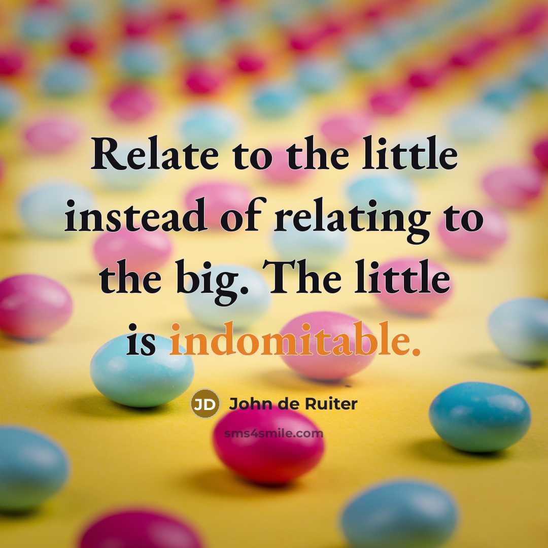 “Relate to the little instead of relating to the big. The little is indomitable.” quote by John de Ruiter