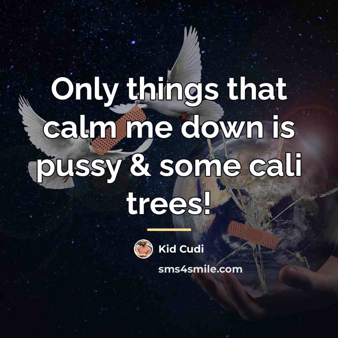 “Only things that calm me down is pussy & some…” quote by Kid Cudi