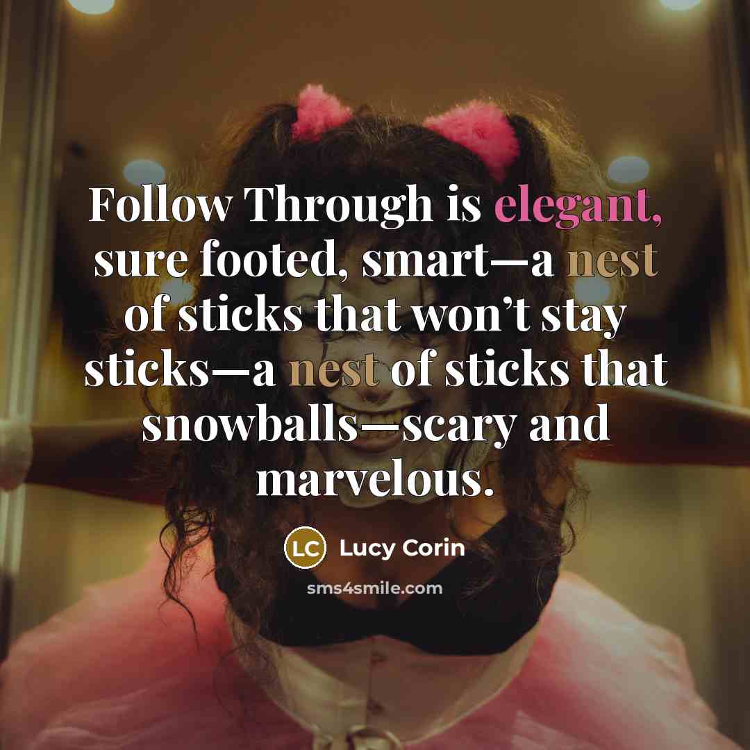 “Follow Through is elegant, sure footed, smart—a nest of sticks…” quote by Lucy Corin