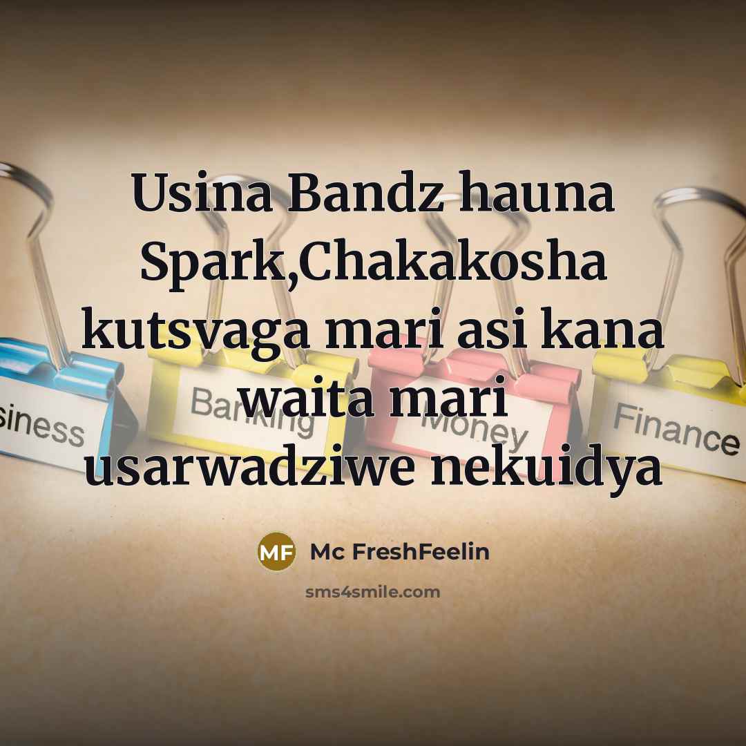 “Usina Bandz hauna Spark,Chakakosha kutsvaga mari asi kana waita mari…” quote by Mc FreshFeelin