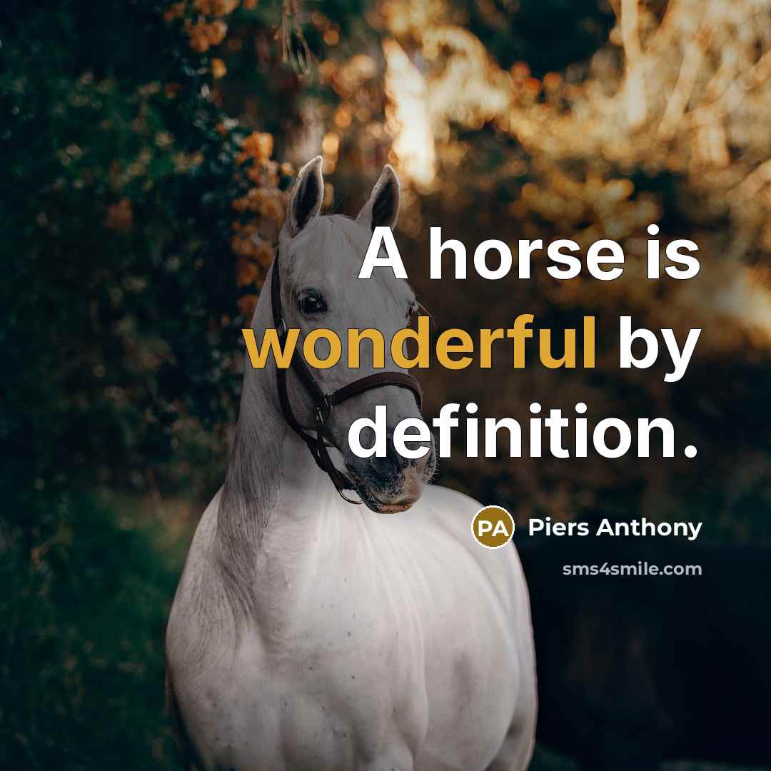 “A horse is wonderful by definition.…” quote by Piers Anthony